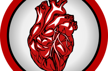 Crucial facts about organ transplantation